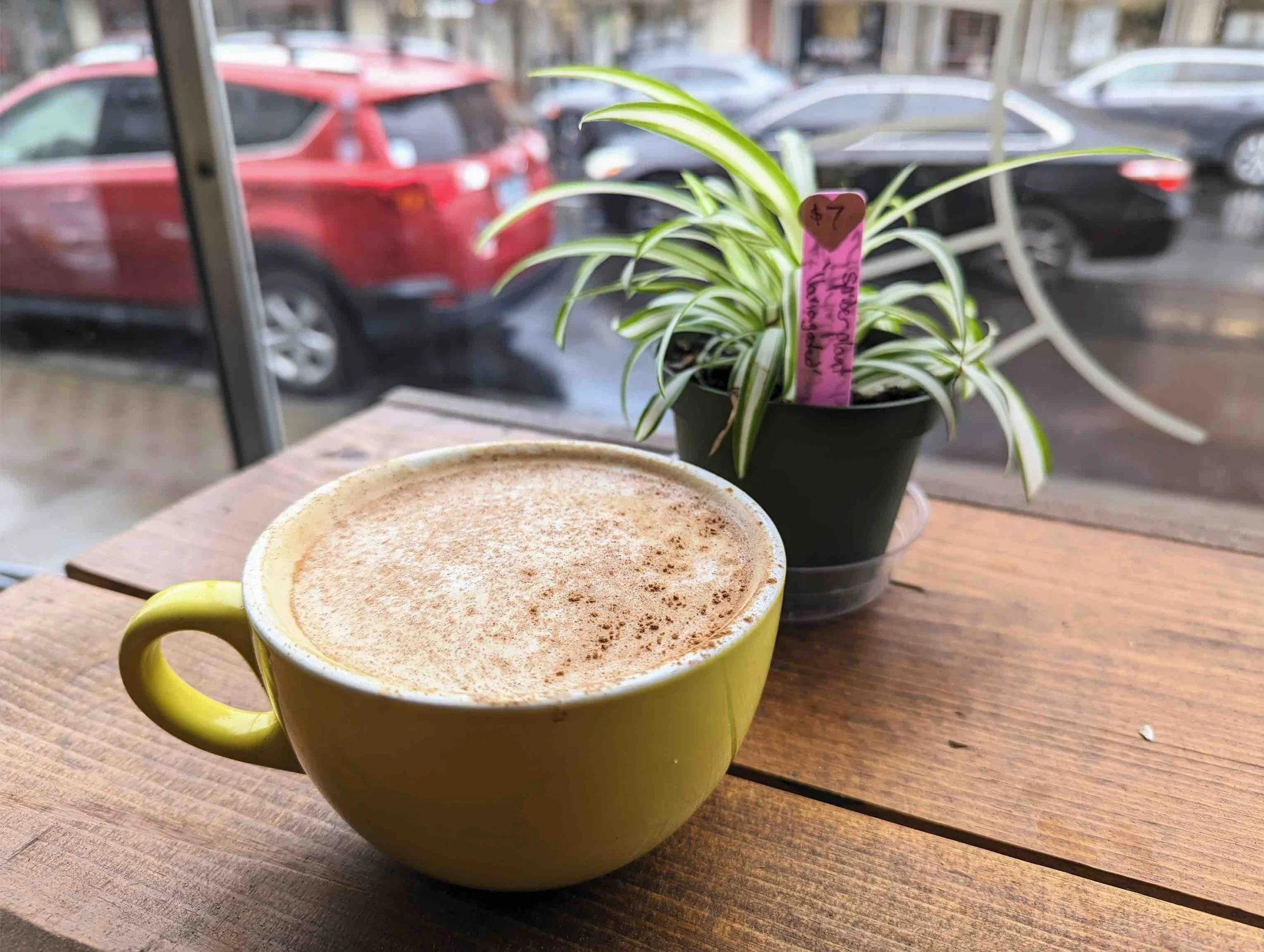 Wild Brew Coffee & Pizza Is Open for Business — Columbia Community